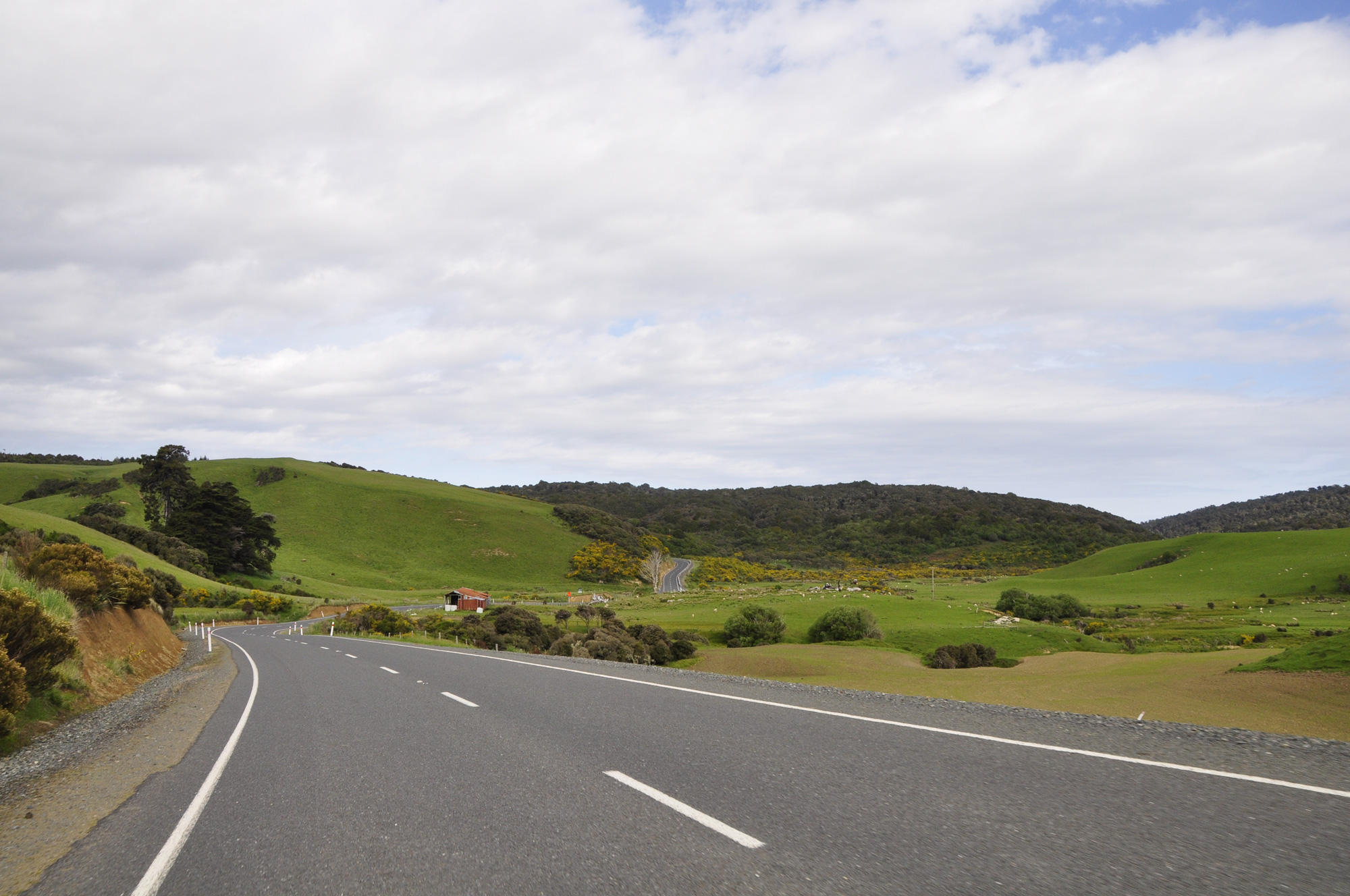 One more empty South Island road disappearing into the distance.