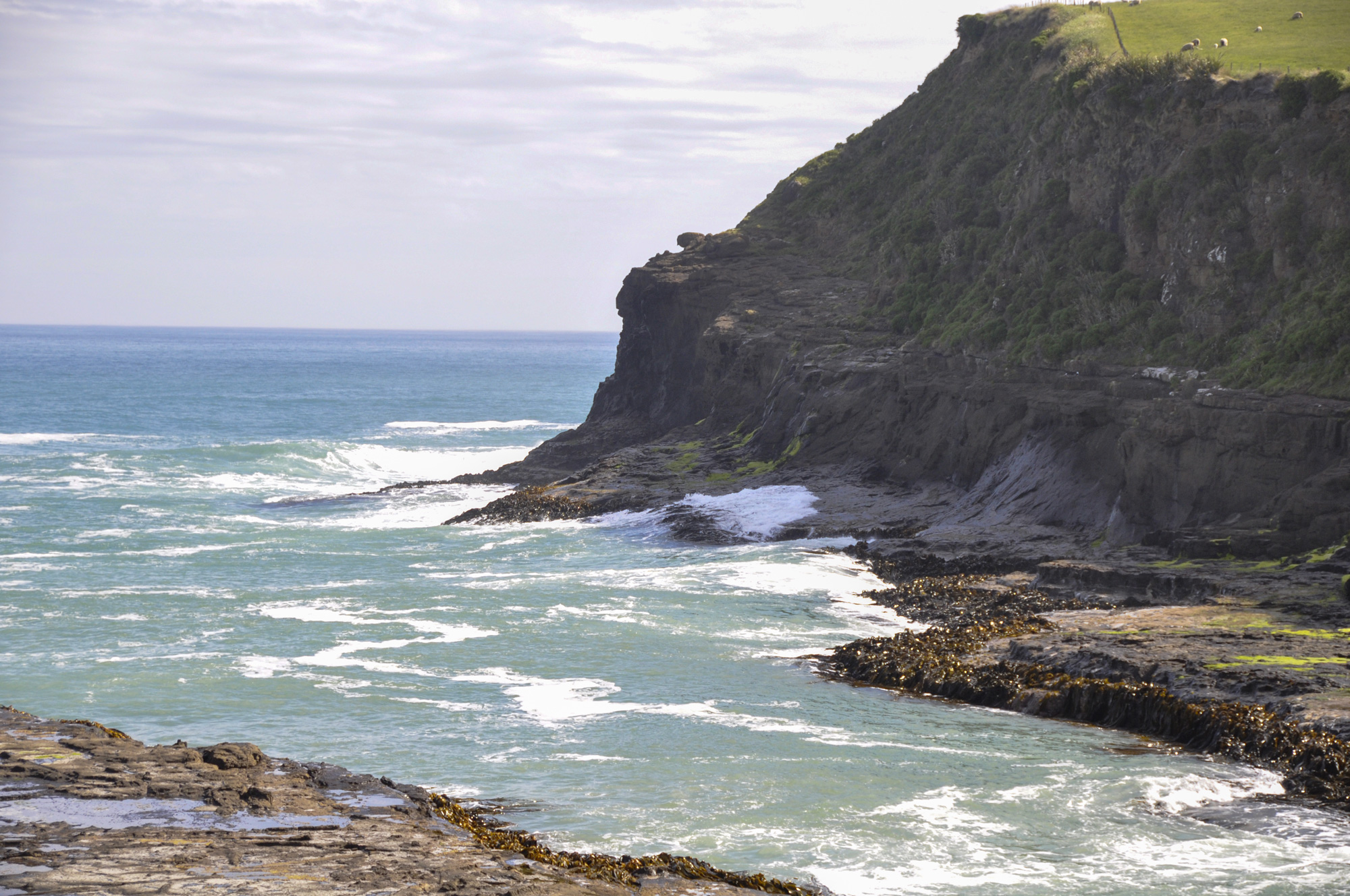 The Catlins countryside at its best.