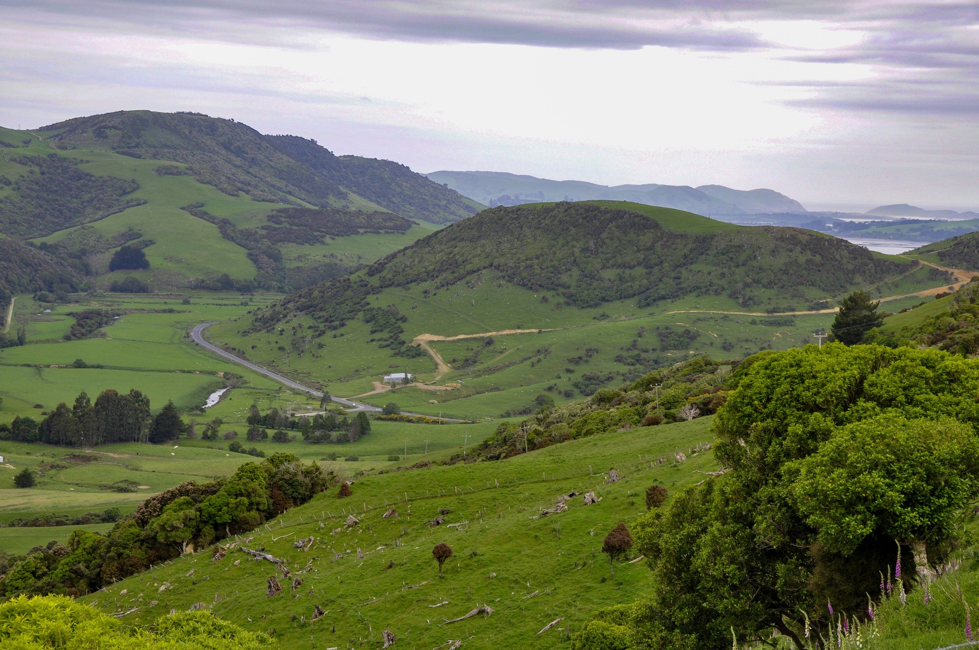 The Catlins countryside at its best.