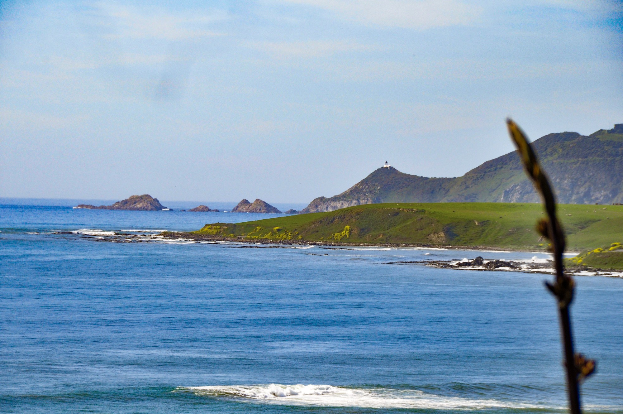 Kaka Point — a fine place to stop for the night.