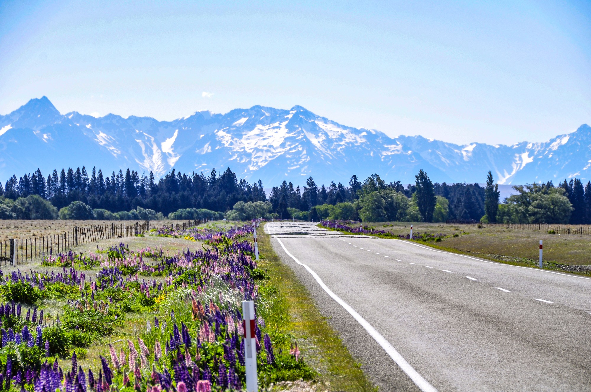 State Highway 8 delivered constantly changing scenery and superb roads.