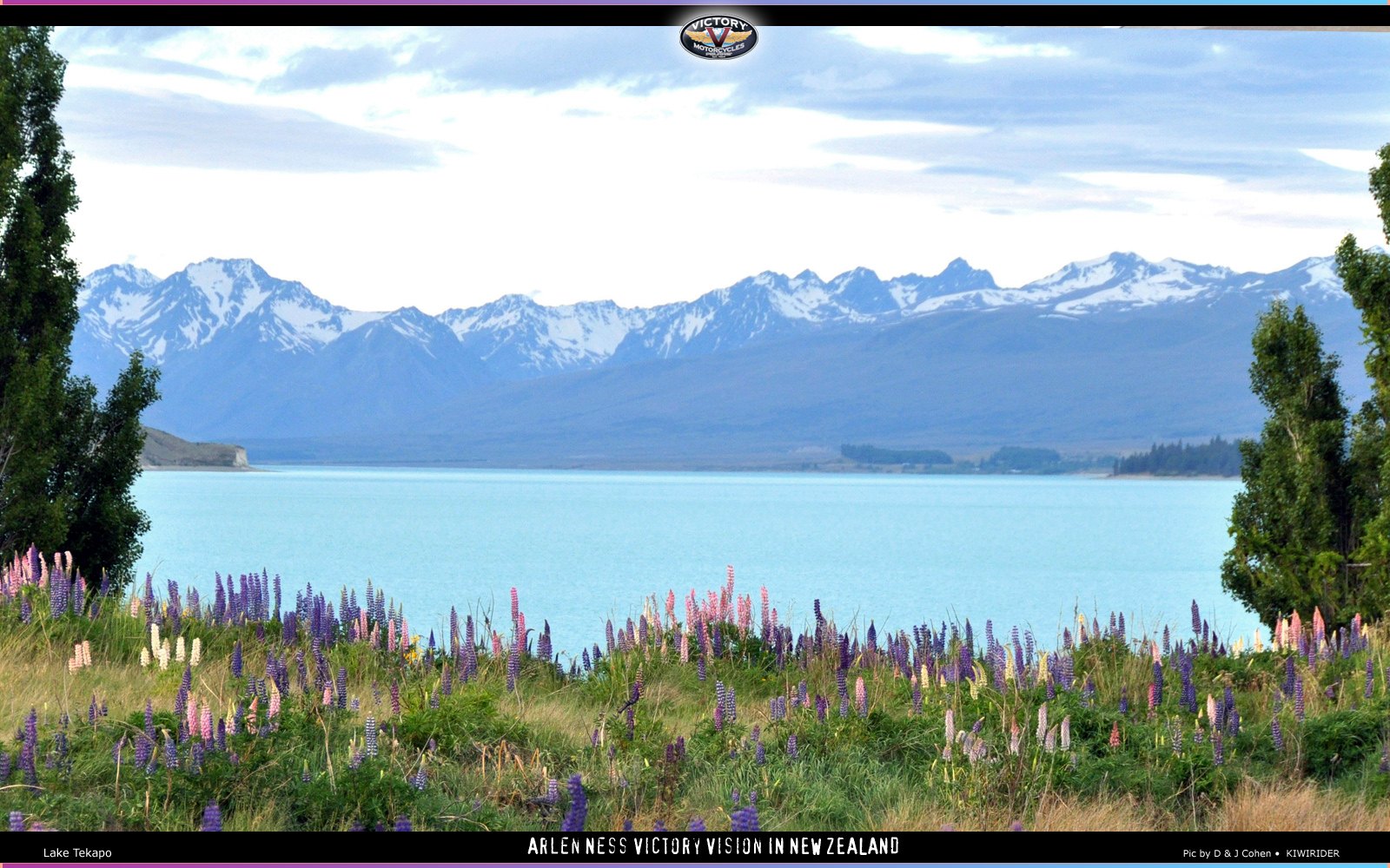 Lake and lupins